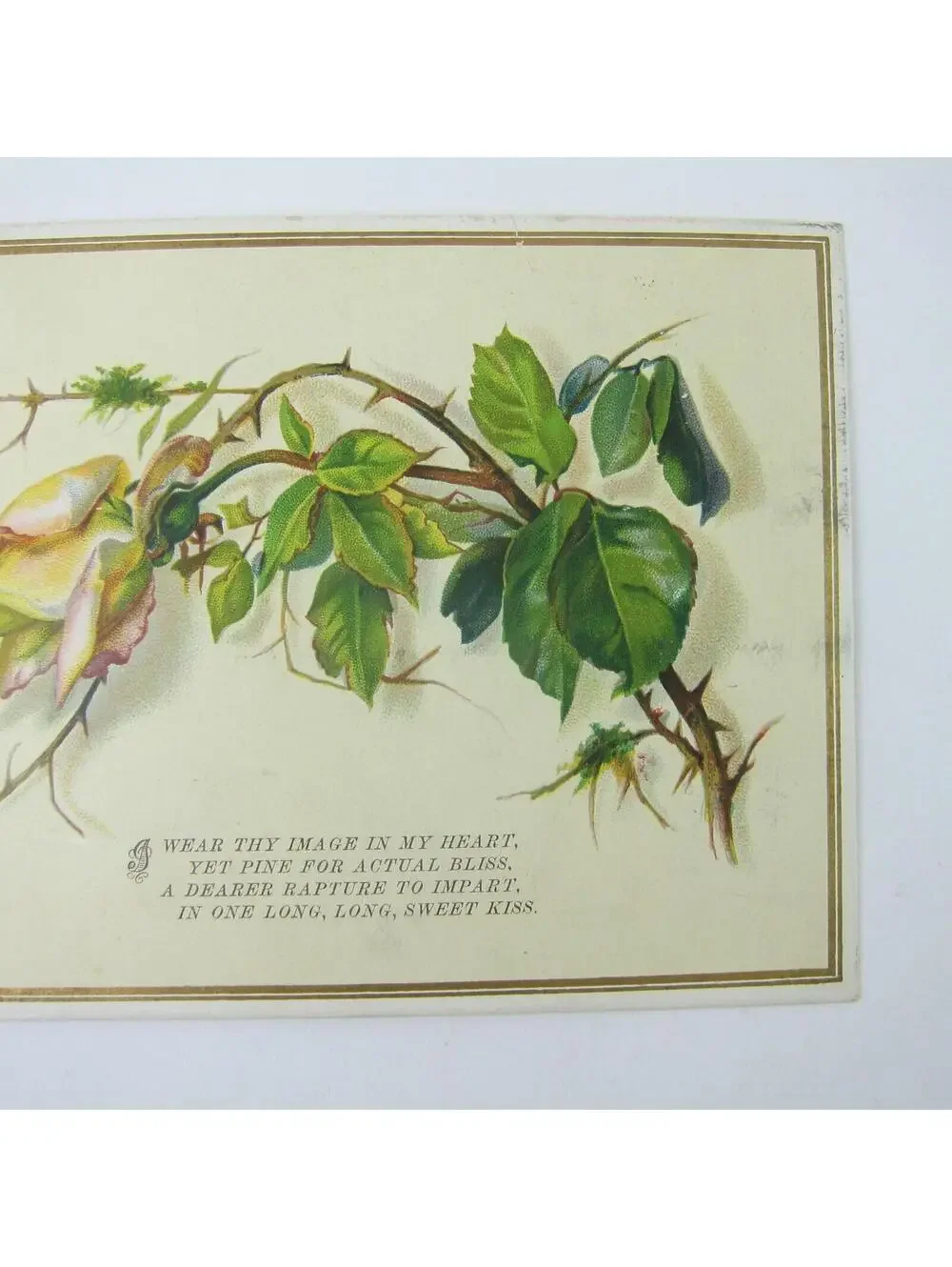 Victorian Greeting Card Valentine Yellow Rose Flower Green Leaves Poem Antique
